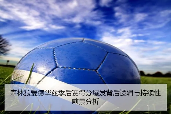 森林狼爱德华兹季后赛得分爆发背后逻辑与持续性前景分析